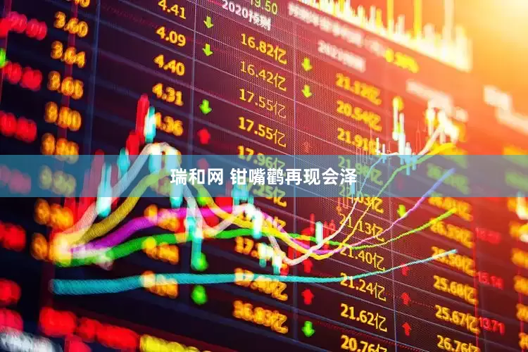 瑞和网 钳嘴鹳再现会泽