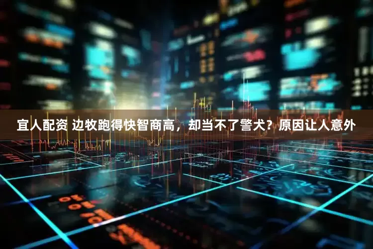宜人配资 边牧跑得快智商高，却当不了警犬？原因让人意外
