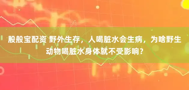 股般宝配资 野外生存，人喝脏水会生病，为啥野生动物喝脏水身体就不受影响？