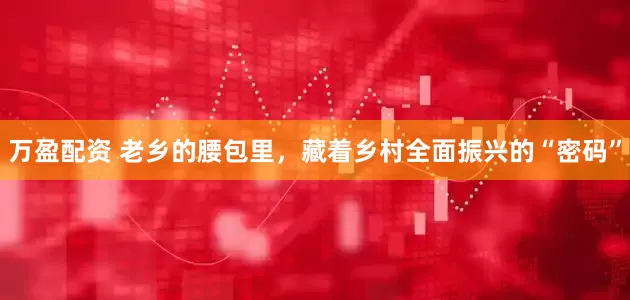 万盈配资 老乡的腰包里，藏着乡村全面振兴的“密码”