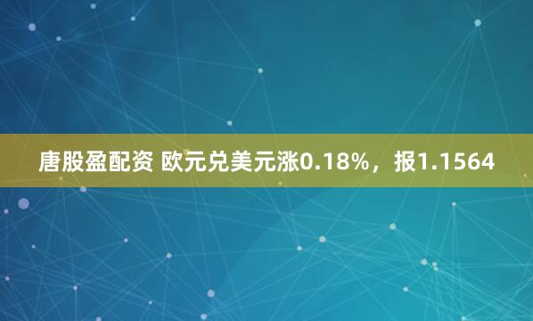 唐股盈配资 欧元兑美元涨0.18%，报1.1564